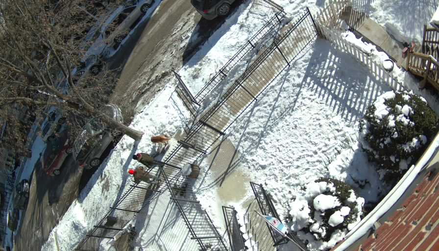 Reolink Camera Two_01_Reolink Home Hub One_20260128101807.jpg